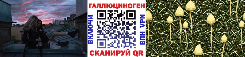Галлюциногенные грибы Magic Shrooms  Сальск 